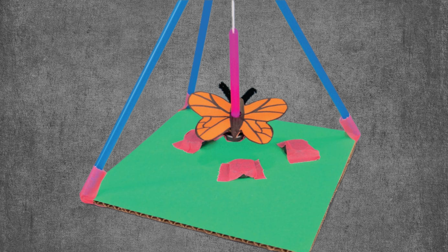 Cairns Home School STEM (N)